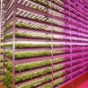 Tub LED T5 FITO FULL SPECTRUM 600 mm LED market LED creștere plante