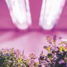 Tub LED T5 FITO FULL SPECTRUM 600 mm LED market LED creștere plante
