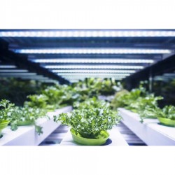 Tub LED T20 Fito Full Spectrum+Sunlight CRI97, 54W/1200mm, LED Market LED market LED creștere plante